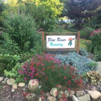 Blue River Nursery Sign