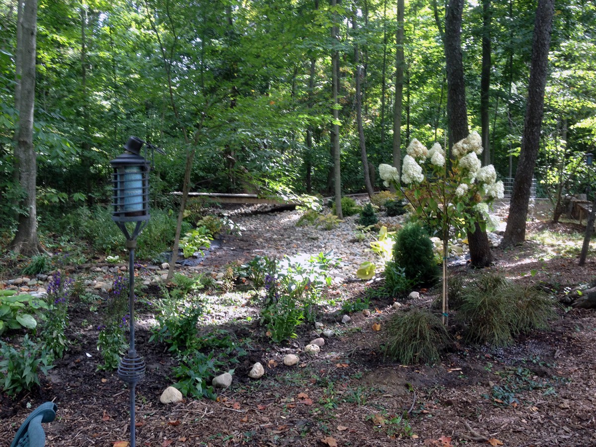 Janet and Todd's Garden